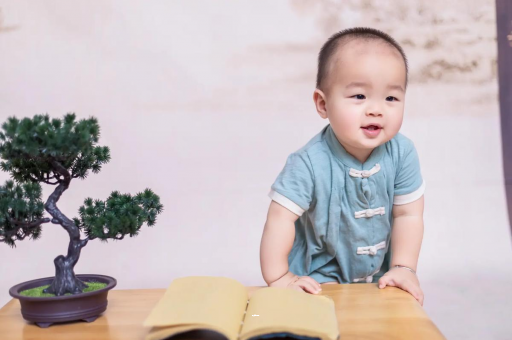 陕西可爱的企鹅宝宝